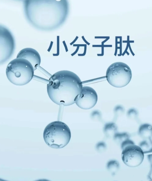 20266171169.png